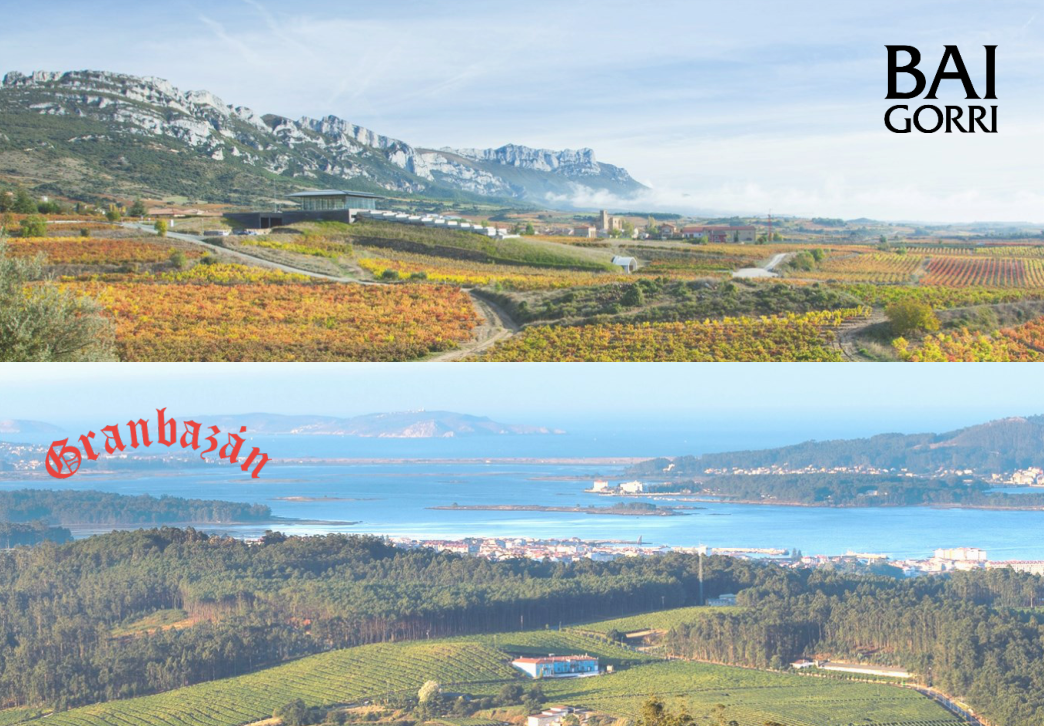Granbazan and Baigorri vineyards